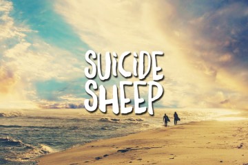 Mr Probz – Waves (Robin Schulz Remix)