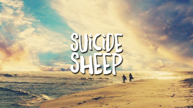 Mr Probz – Waves (Robin Schulz Remix)
